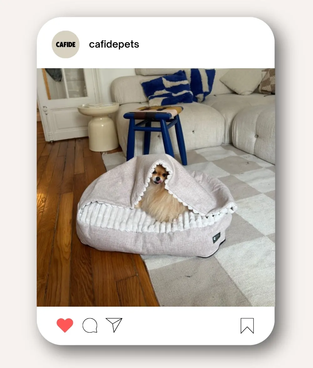 Cama Perro Pana con Capucha Beige, Maso